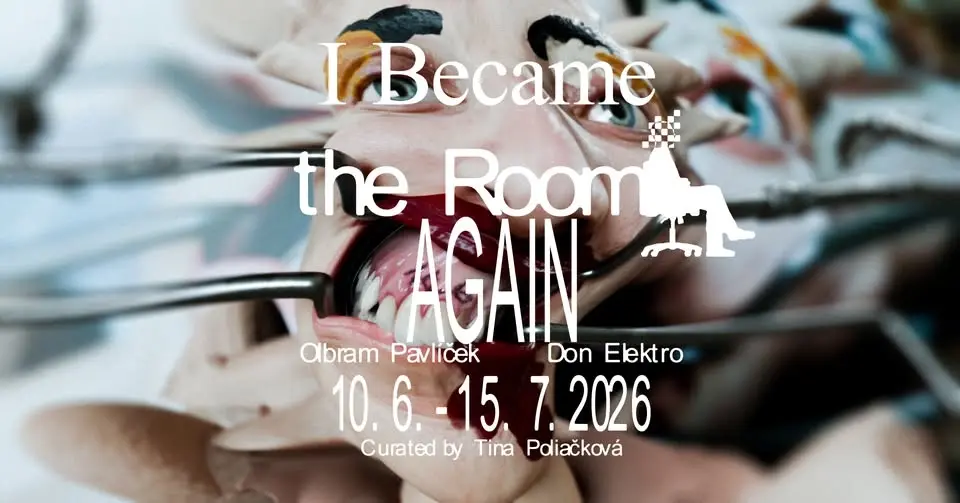 Olbram Pavlíček & Don Elektro: I Became the Room Again