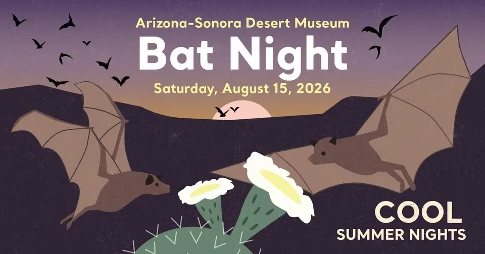 Bat Night (Cool Summer Nights) 