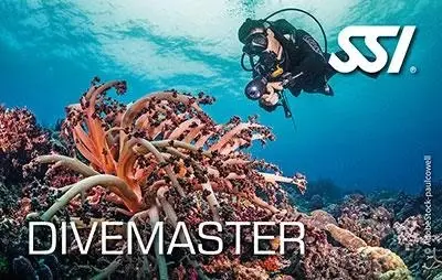 Dive Guide/Master Course / Become a dive Professional...