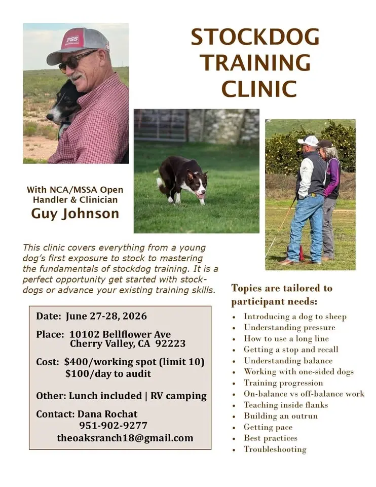 Angie & Guy Johnson clinics (Sheep OR Cattle)