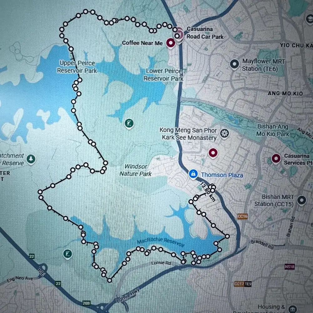 14km MacRitchie Hike