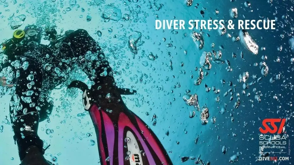 Diver Stress & Rescue 