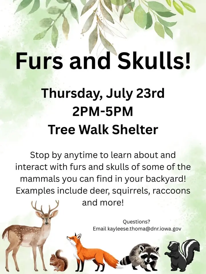 Furs & Skulls- Program by Mines of Spain