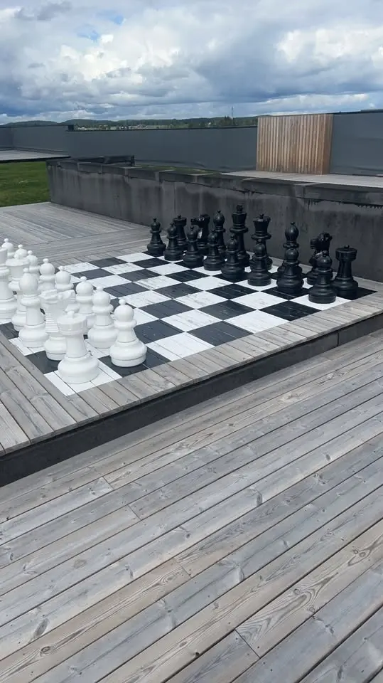 Internasjonal fellestur - Sjakk og grilling i Frognerparken