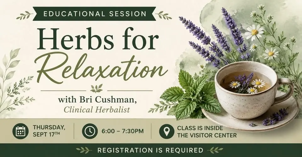 EDUCATIONAL SESSION: Herbs for Relaxation