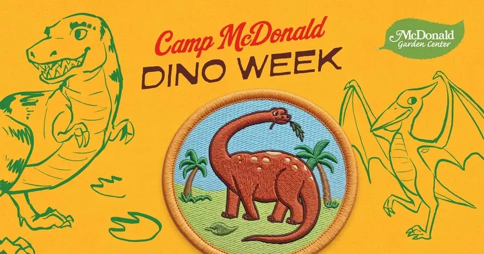 Camp McDonald - Dino Week
