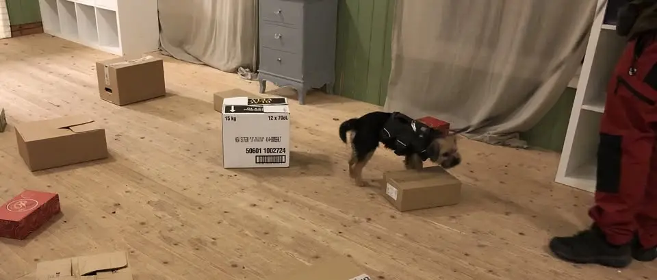 TEM 1 Behållare