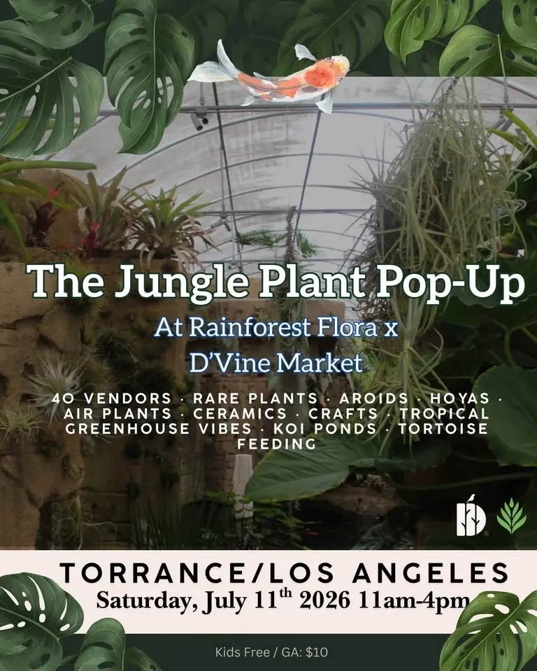 The Jungle Plant  Pop-Up at Rainforest Flora x Dvine Market