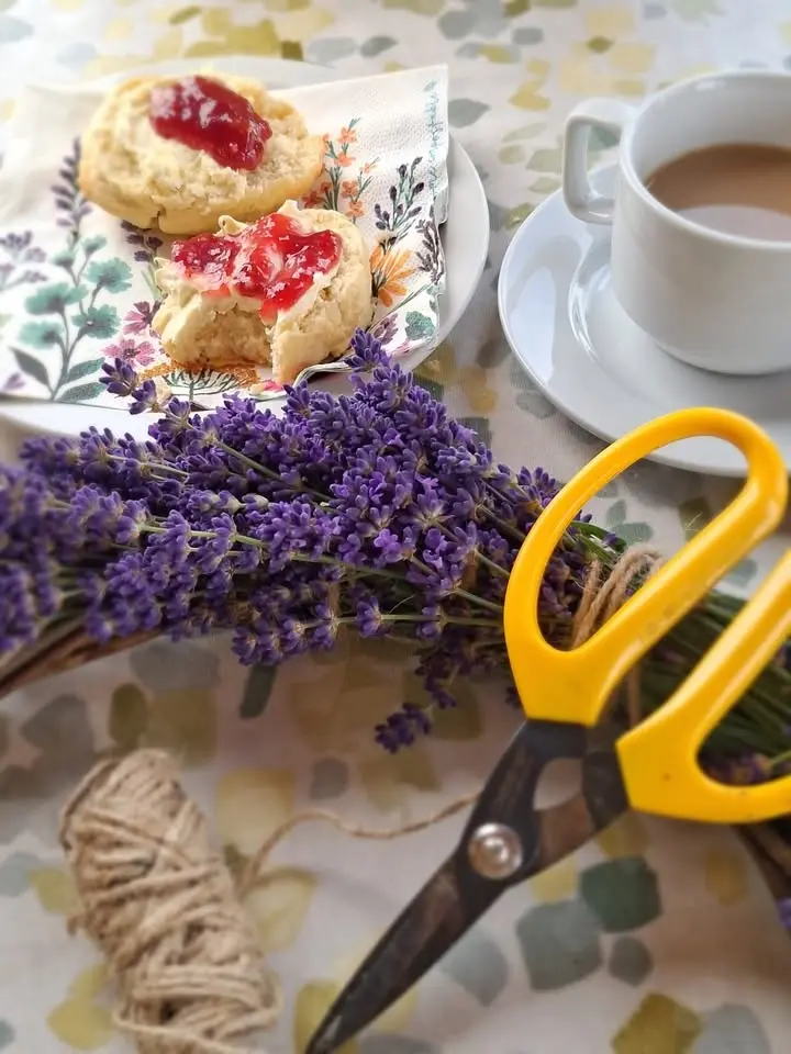 Lavender Wreath Workshop