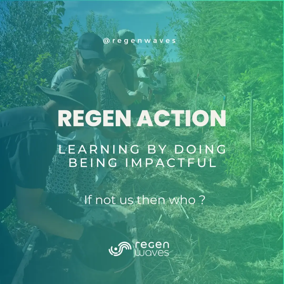 Regen Action #14 Site 1 Lab Forest — Learning by doing