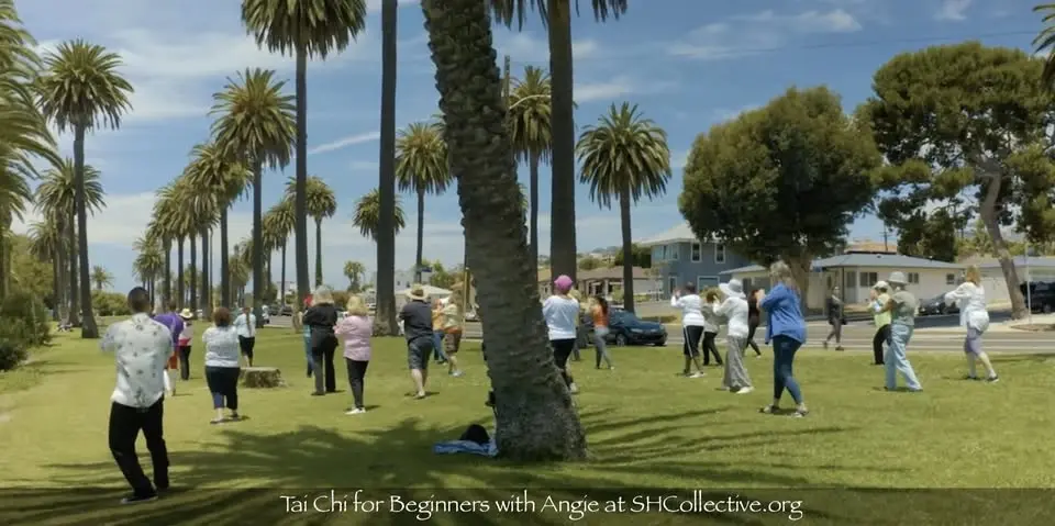 Ocean View Tai Chi for Beginners in San Pedro (by SHCollective)