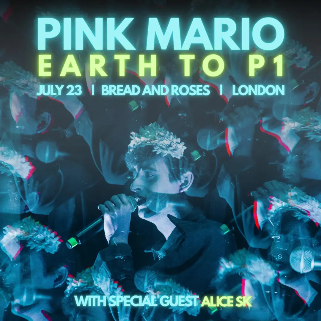 PINK MARIO - EARTH TO P1