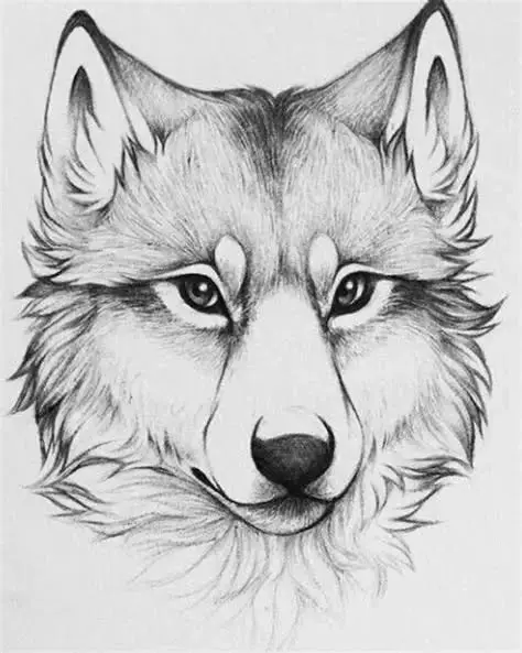 Animal Farm Art Camp July20-24, 8:30-5:00