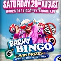 Barmy Bingo - Bridgend