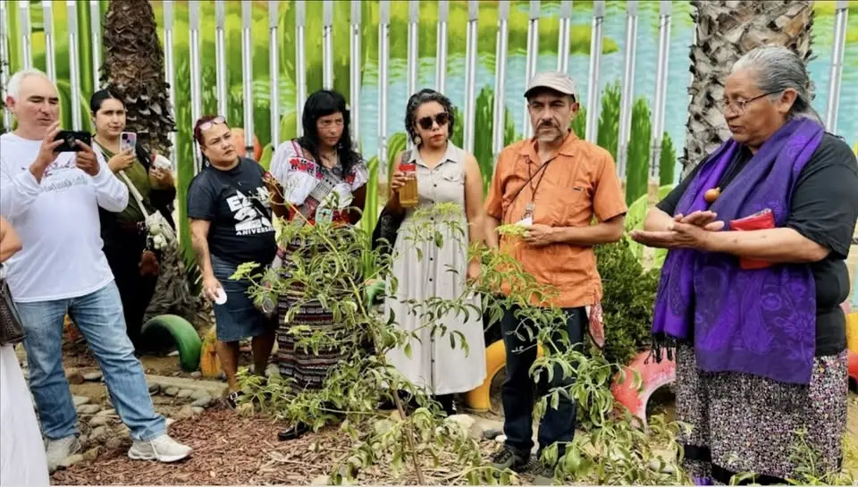 Juntas Retoñamos - Taller de Plantas Nativas y Biblioteca Humana