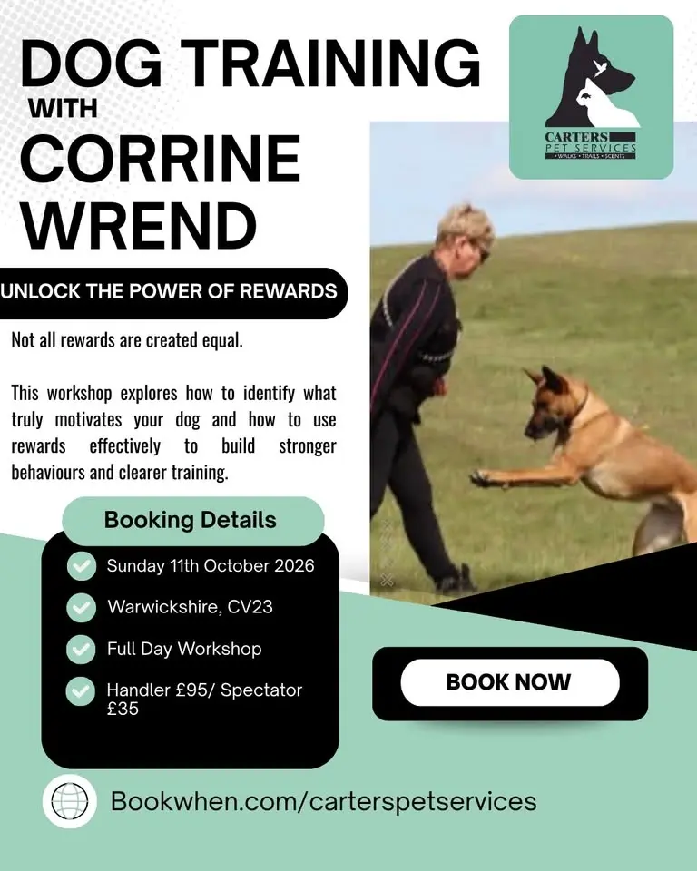 Unlock The Power of Rewards with Corrine Wrend, Rugby CV23