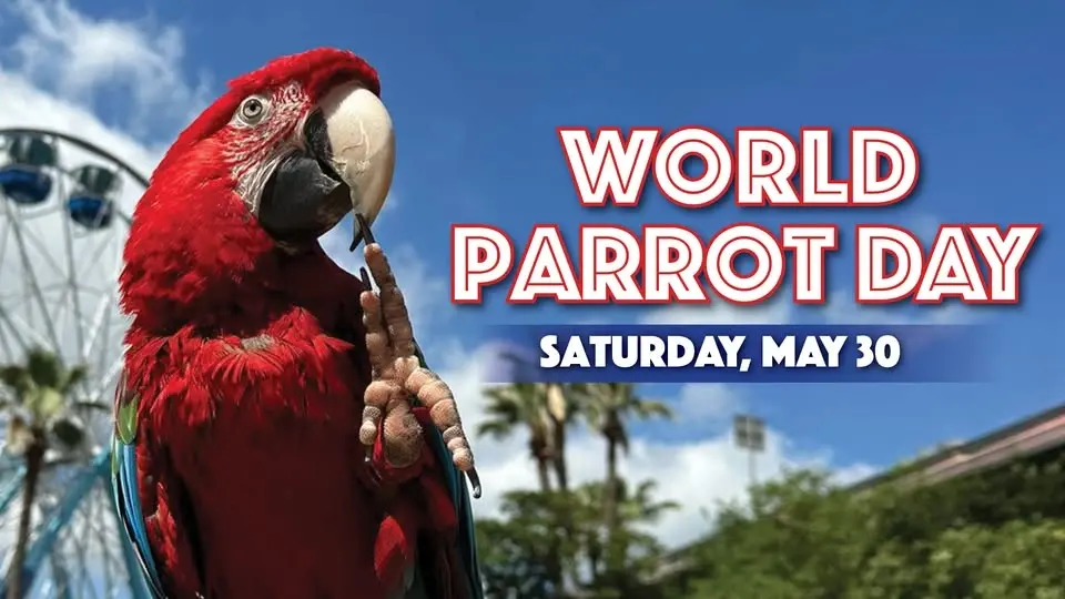 World Parrot Day