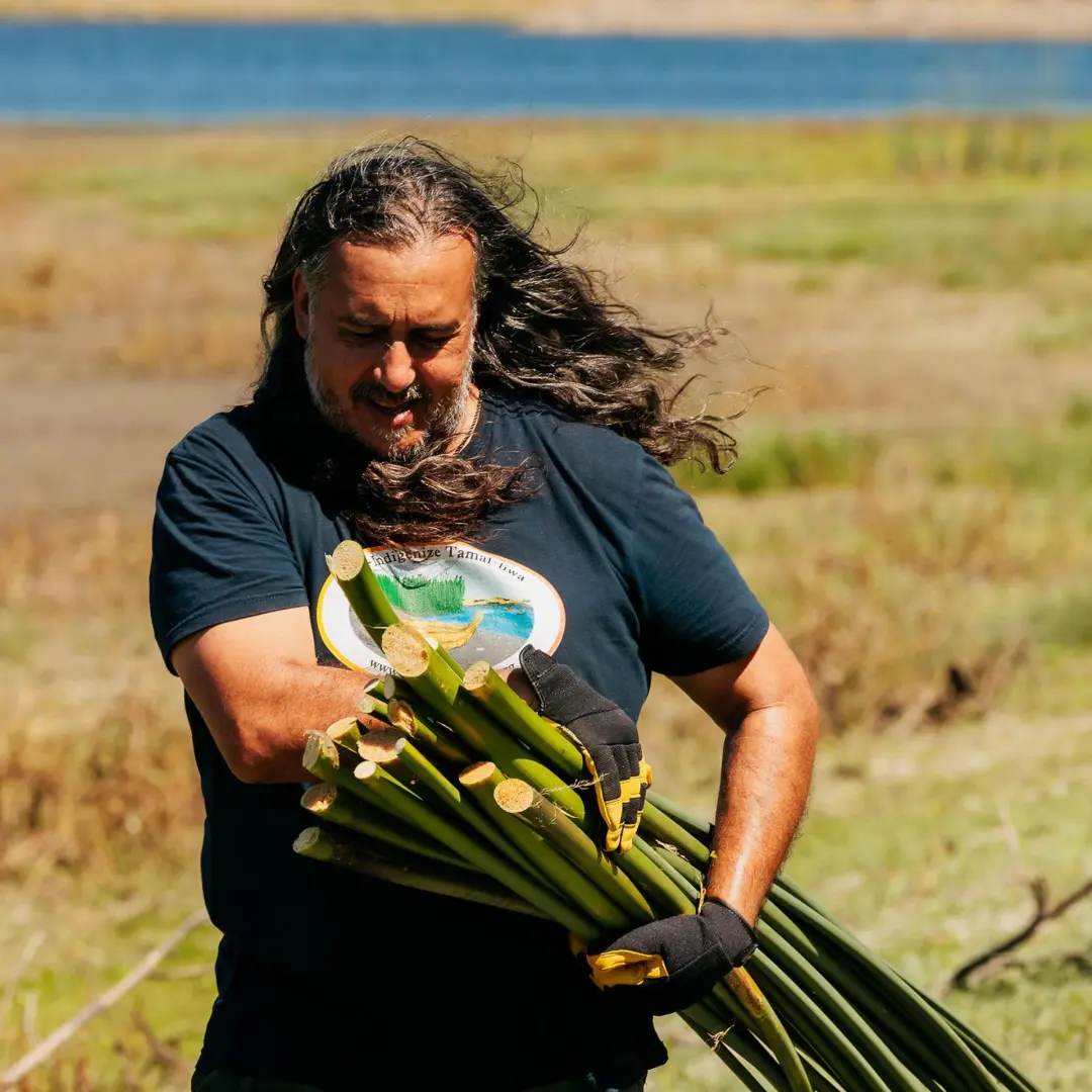 A4FC 2026 Tule Harvest & Community Gathering # 1