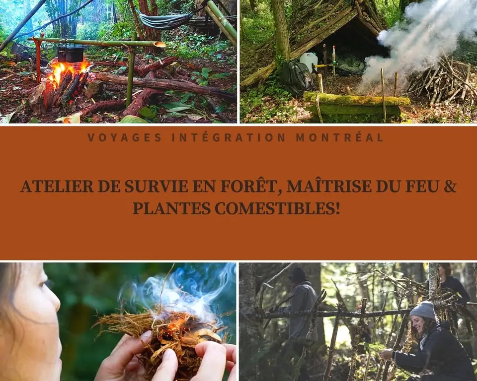 Atelier de survie en forêt, maîtrise du feu & Plantes comestibles. 