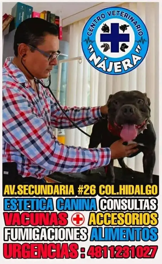 Ver a el TRONO DE MÉXICO 