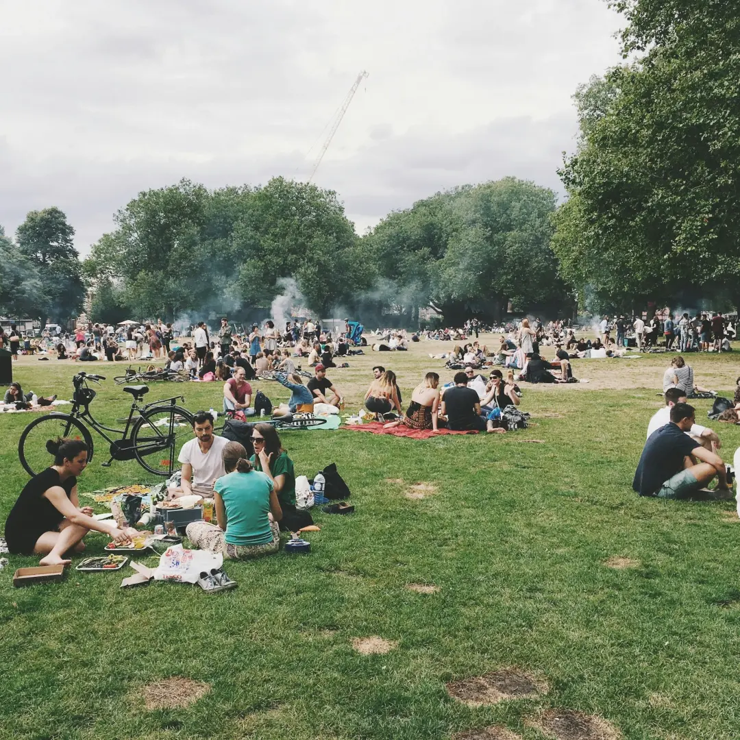 Picnic At Concert In The Park