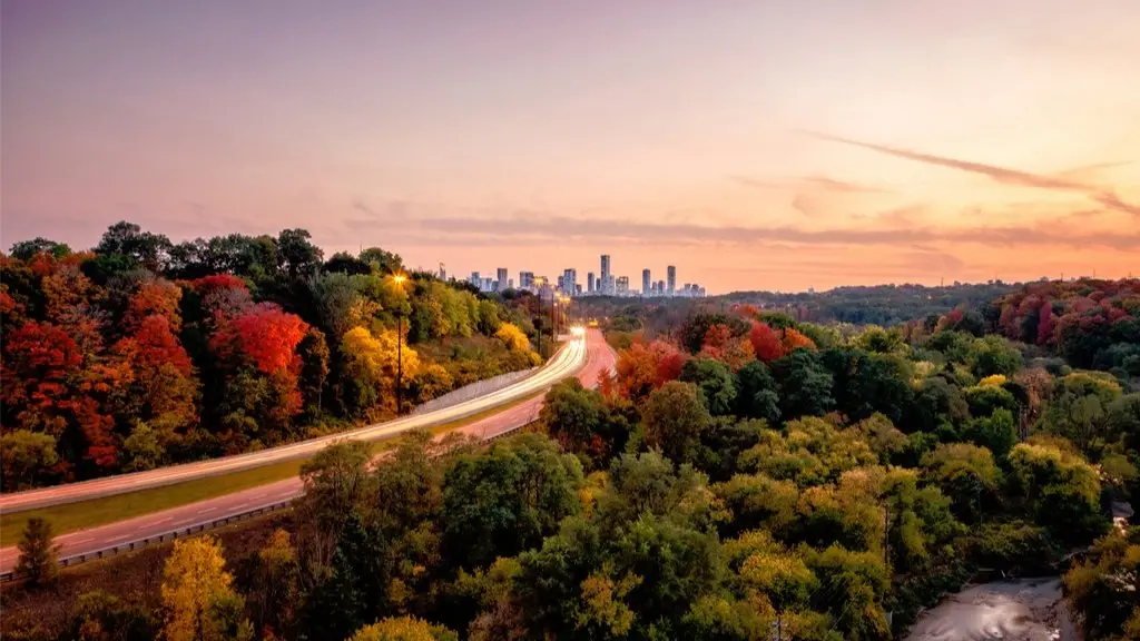 HUMBER RIVER: (Nature Walk & Social Gathering) (Meet Bloor & Old Mill Station)