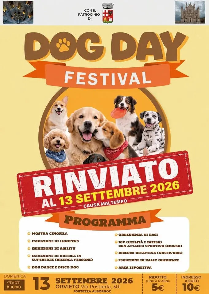 Dog Day Festival