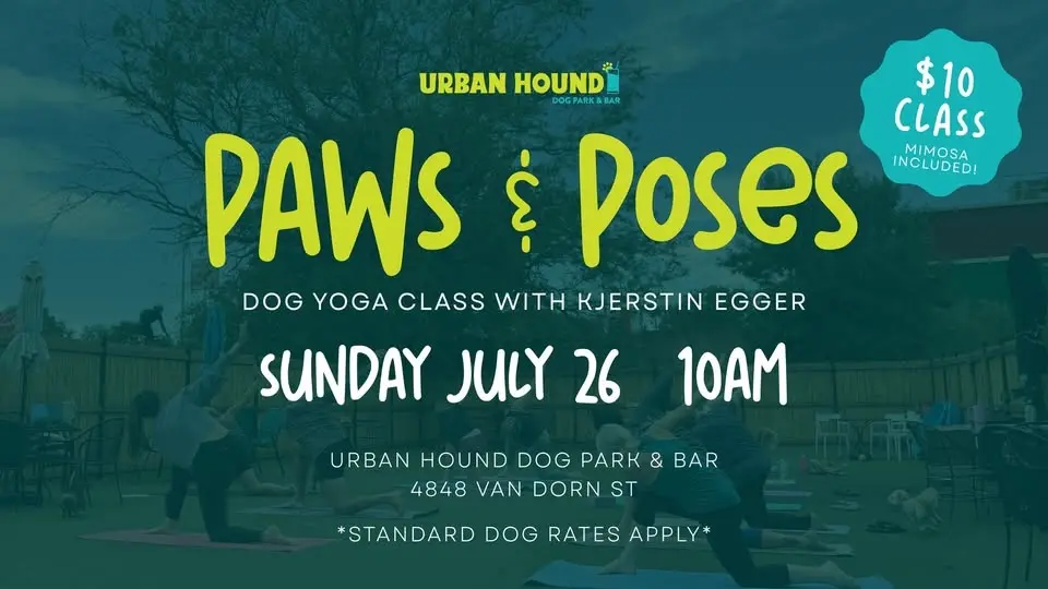 Paws & Poses: Dog Yoga at Urban Hound Dog Park & Bar