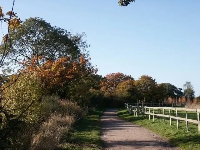 Cherry Orchard Walk