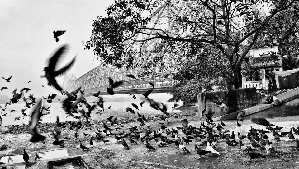 Petals, People & Perspectives - Photo Walk along the Ghats