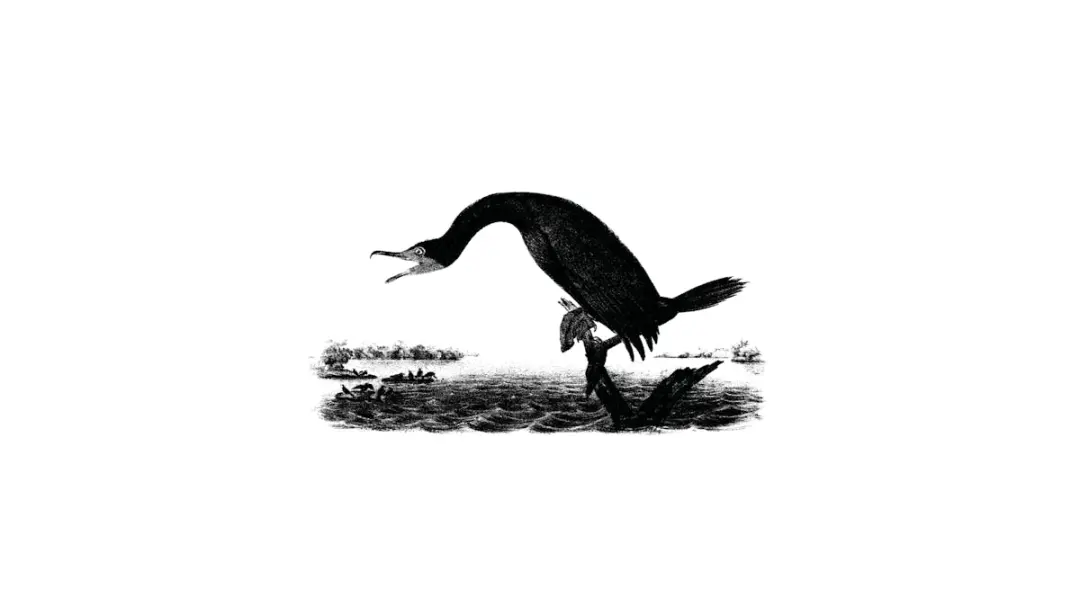 On Air: Can other species be a part of the political community?