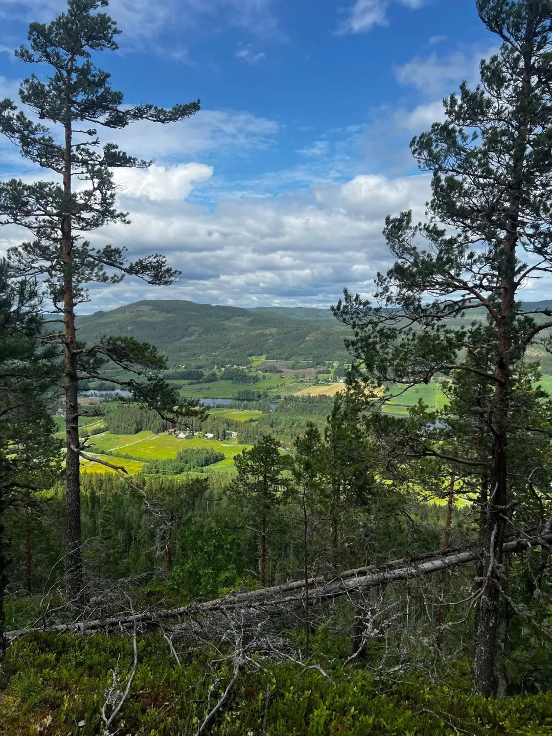 Topptur Rankleven