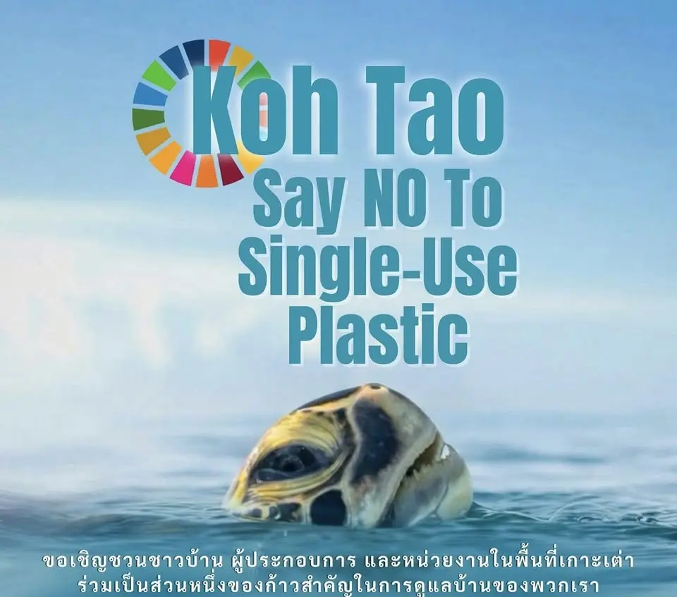 ค่ายอนุรักษ์ เรียนรู้ทรัพยากรทางทะเล  เกาะเต่า ชุมพร   🏝️🐢 