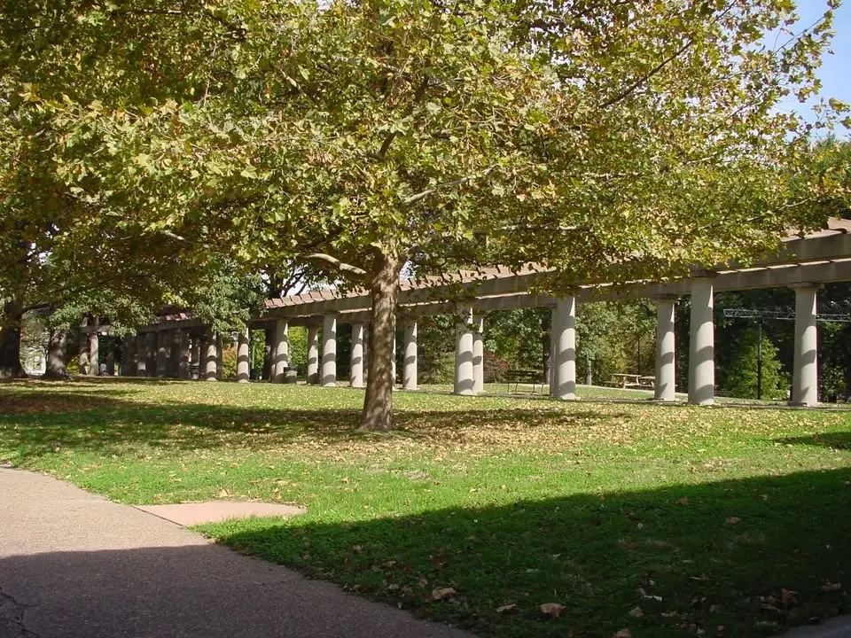 Free Yoga in Central Park