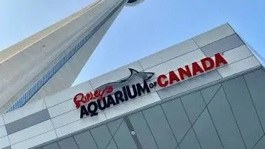 CN Tower and Ripley's Aquarium