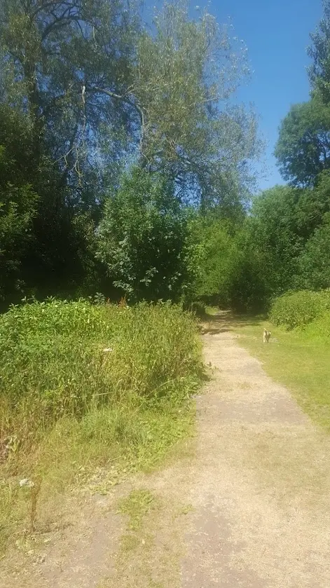 Group Therapy Walk in Sutton Park