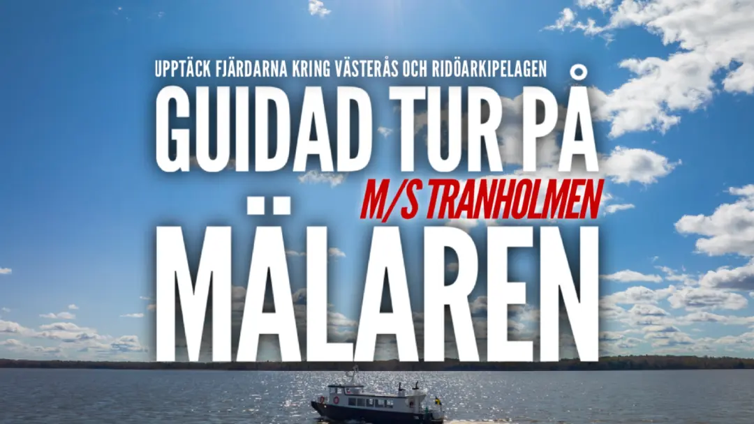 Guidad tur på Mälaren