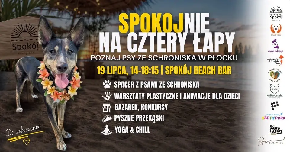 SPOKOJnie na cztery łapy – czyli Spokój z merdającymi ogonami! 🐾