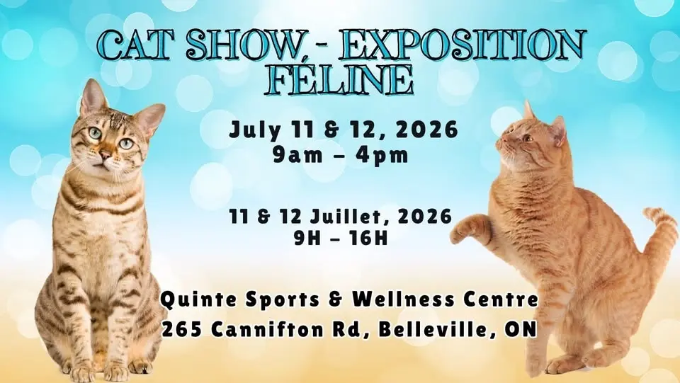 Belleville Cat Show - Exposition Féline 2026