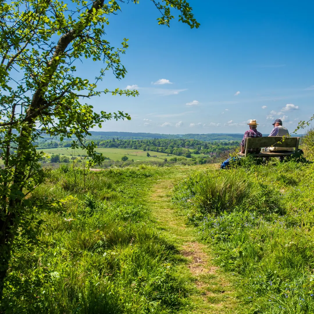 Surrey Tech Founders Hike: Newlands Corner