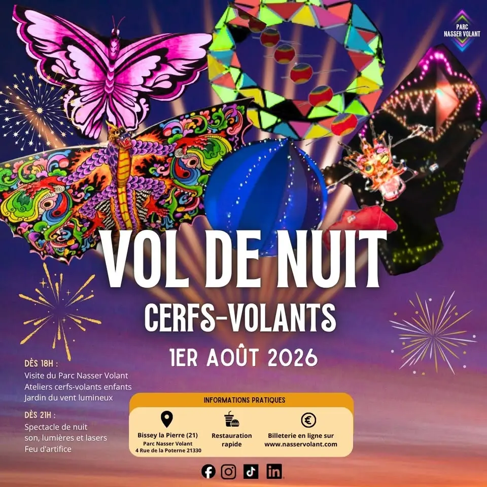 Vol de nuit son et lumière de cerfs-volants