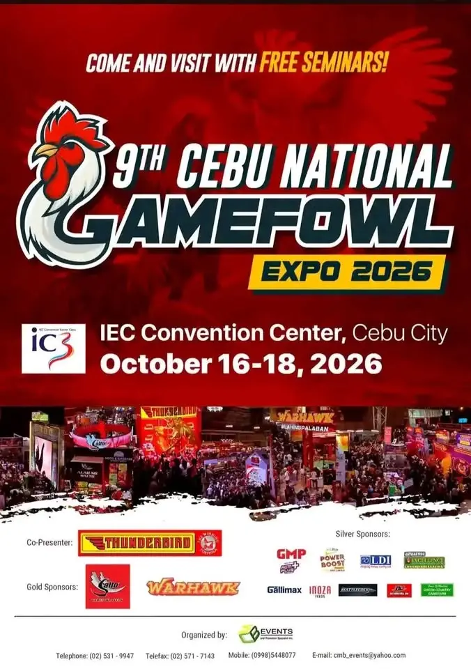 9th Cebu national Gamefowl Expo 