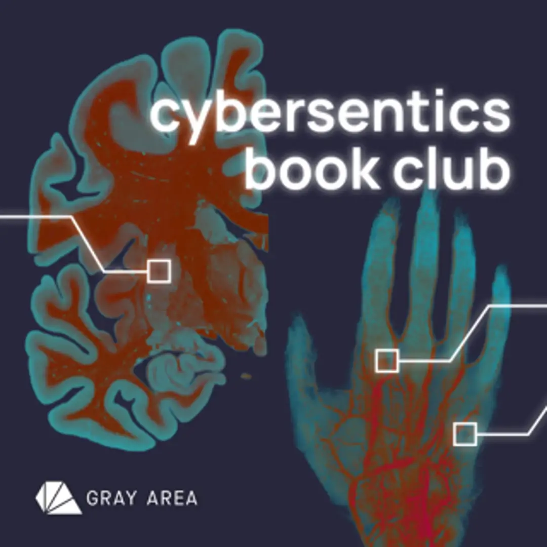 Cybersentics Monthly Book Club: Information Arts