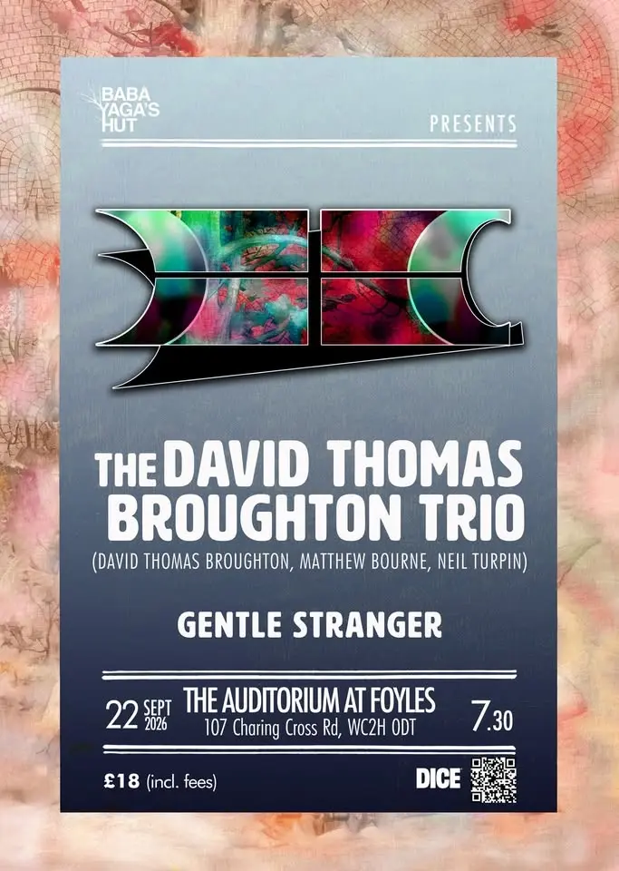 The David Thomas Broughton Trio