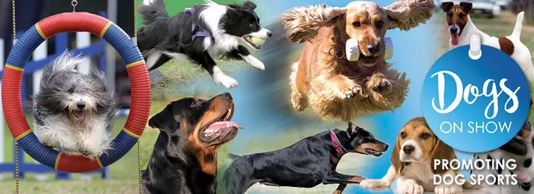 Dogs on Show - Open Day with two Championship Shows