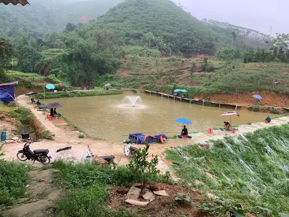 Câu chơi
