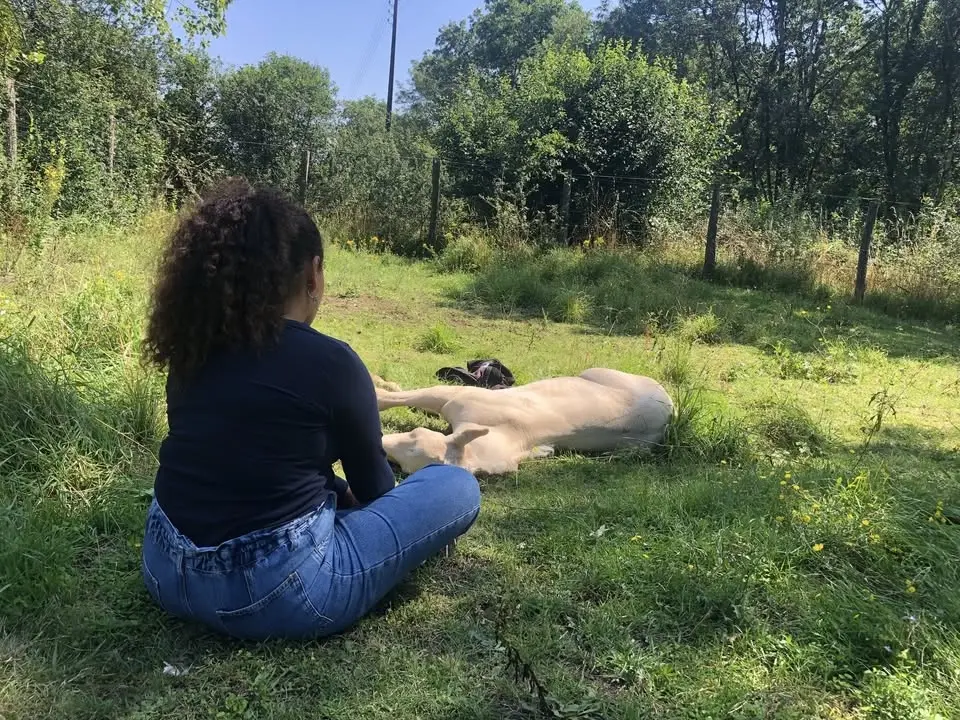 Programme MCC - Méditation, Conscience et Connexion