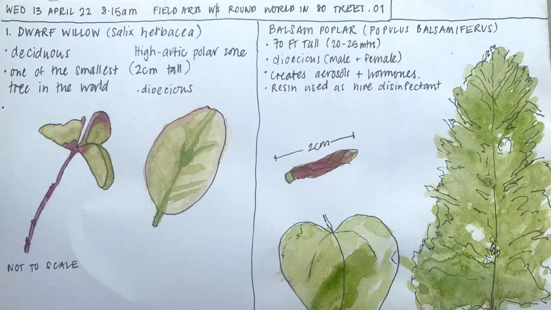 April Meetup for the Sydney Nature Journal Club