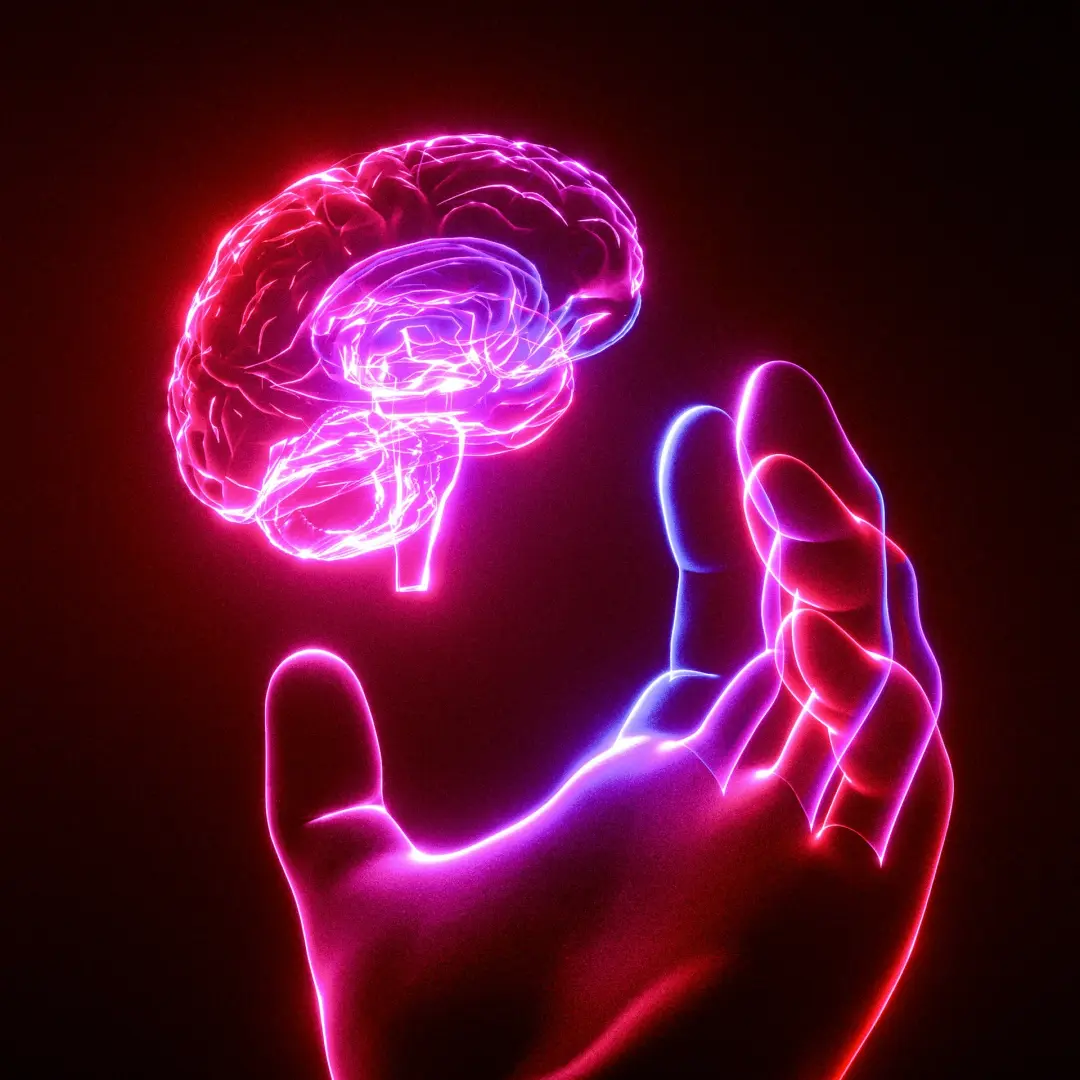 Brain Optimization. Evidence-Based Strategies for Memory, Focus, and Long-Term Cognitive Resilience.