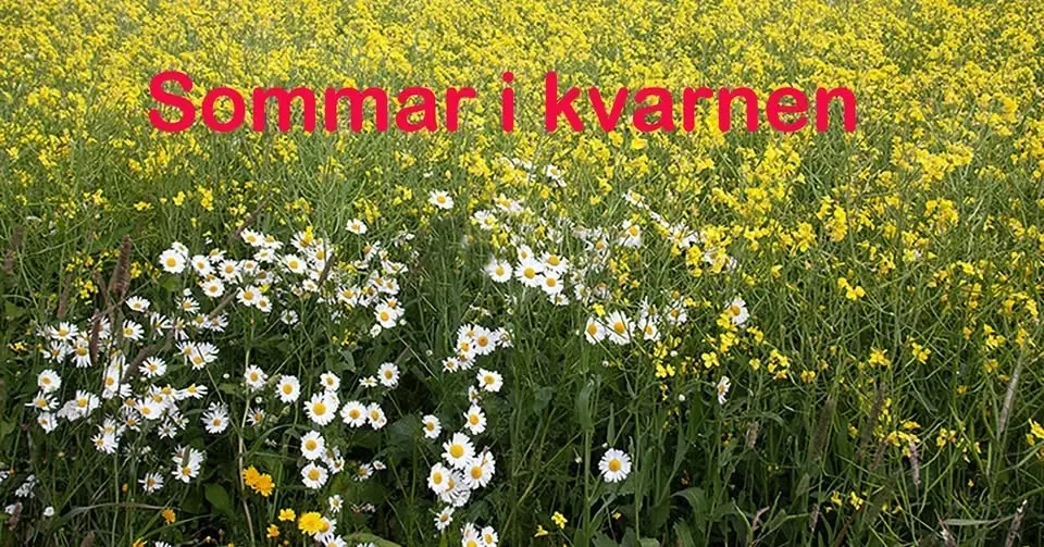 Sommaröppet på Hillefors grynkvarn